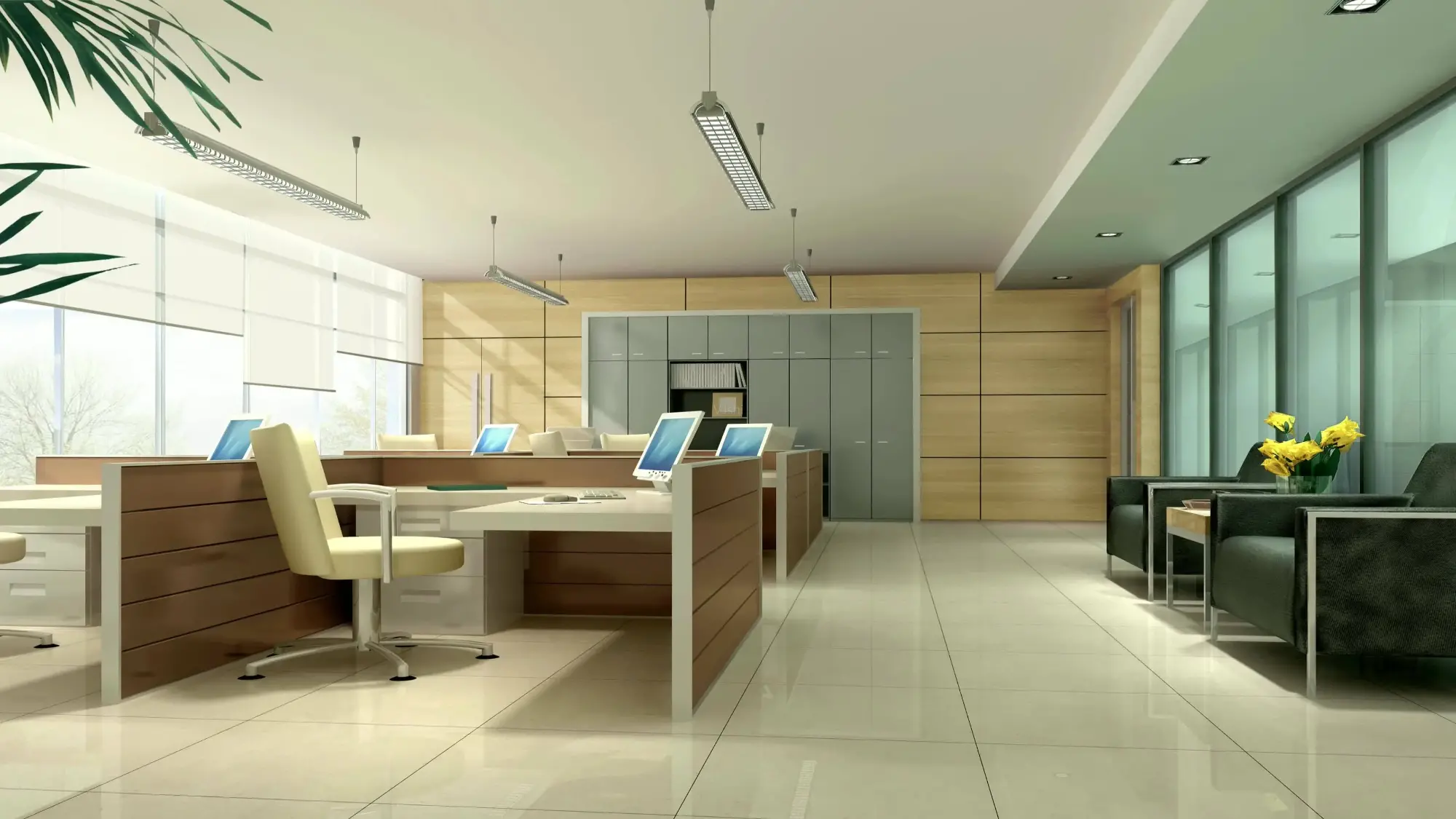 in the office-CK vision