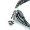 HD endoscope -CK vision