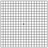 ISP fine tune: distortion test-CK vision
